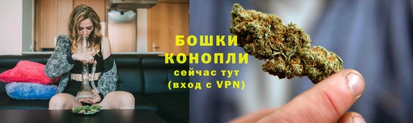 сатива Зеленодольск