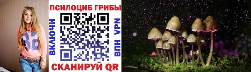 Псилоцибиновые грибы MAGIC MUSHROOMS  Купить закладки  Туапсе 